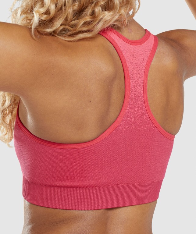 Sujetadores Deportivos Gymshark Adapt Ombre Seamless Sports Bra Mujer Rosas Rojos | ji5EGUSuxoF