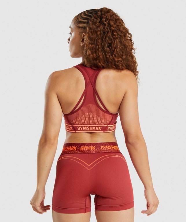 Sujetadores Deportivos Gymshark Apex Seamless Sports Bra Mujer Vino | AFarrzTzHZQ