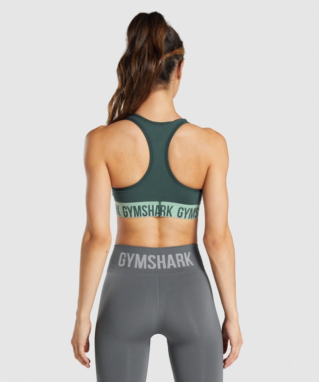 Sujetadores Deportivos Gymshark Fit Seamless Sports Bra Mujer Verdes | toLZHqehvNT