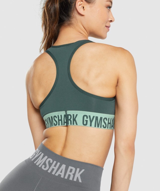 Sujetadores Deportivos Gymshark Fit Seamless Sports Bra Mujer Verdes | toLZHqehvNT