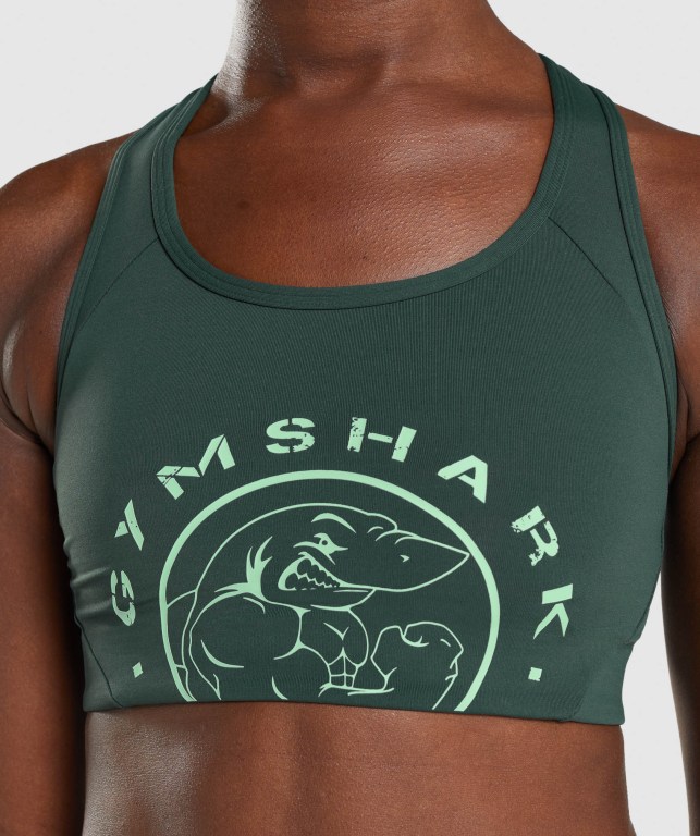 Sujetadores Deportivos Gymshark Legacy Graphic Sports Bra Mujer Verdes Oscuro | WPP6TNqScvN