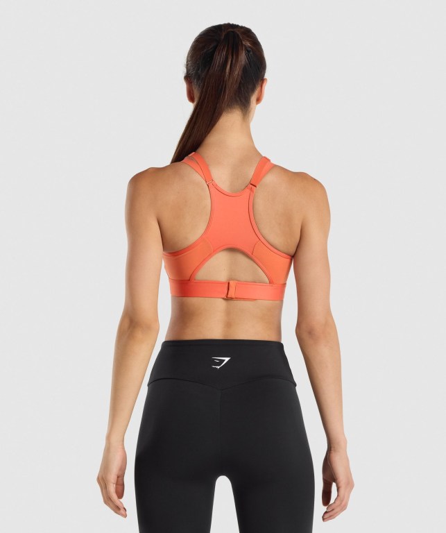 Sujetadores Deportivos Gymshark Mesh Neckline Entrenamiento Sports Bra Mujer Naranjas | BfXivZBsRvK