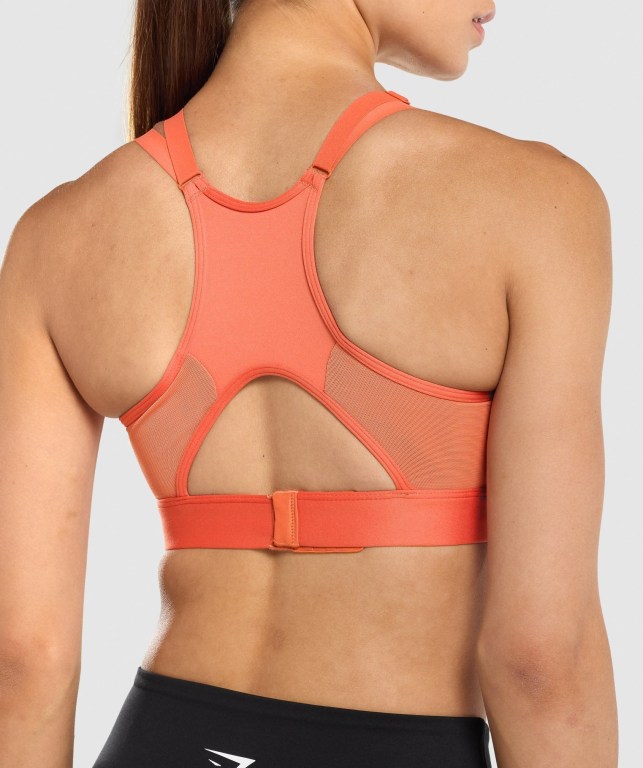 Sujetadores Deportivos Gymshark Mesh Neckline Entrenamiento Sports Bra Mujer Naranjas | BfXivZBsRvK